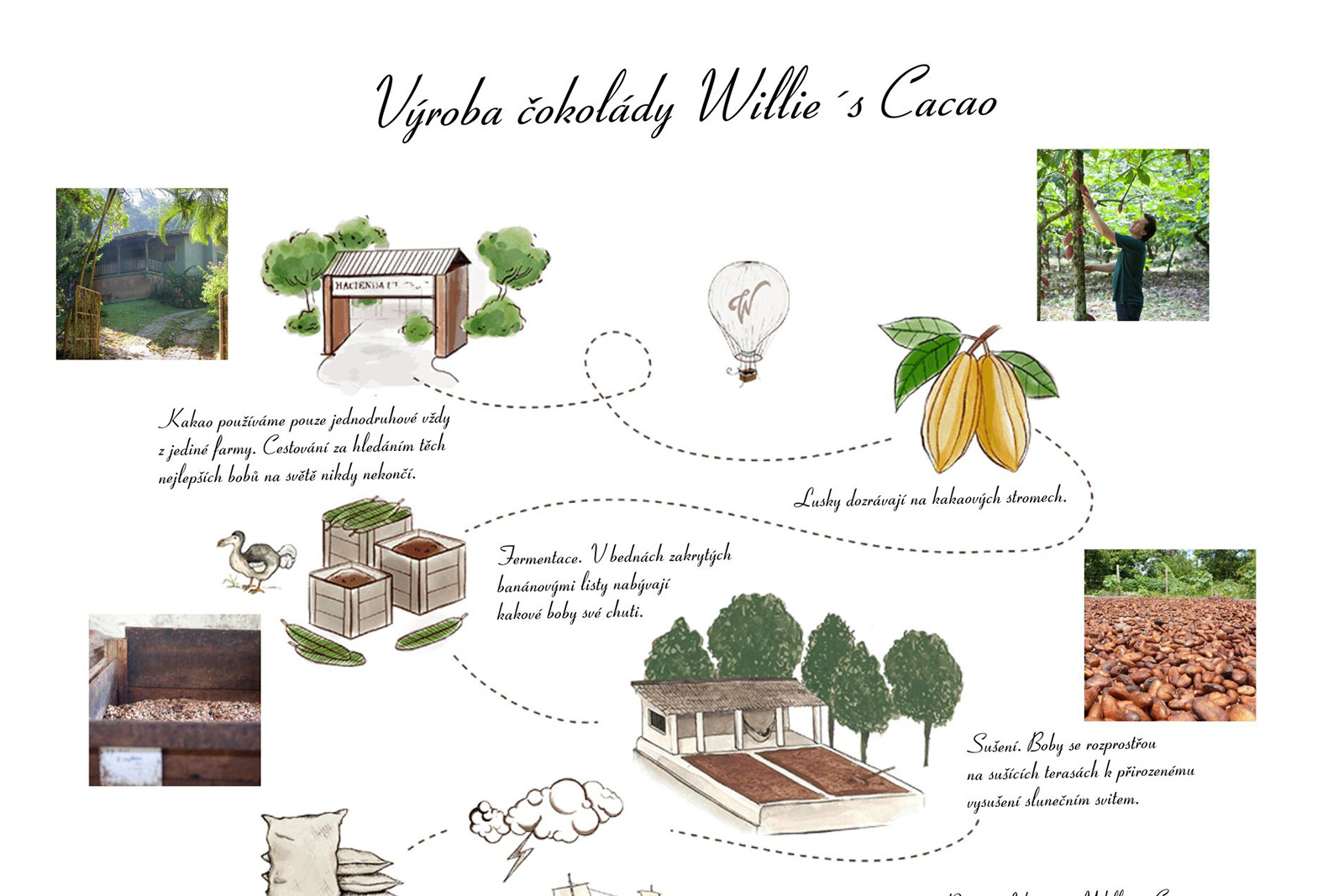 Výroba čokolády Willie´s cacao