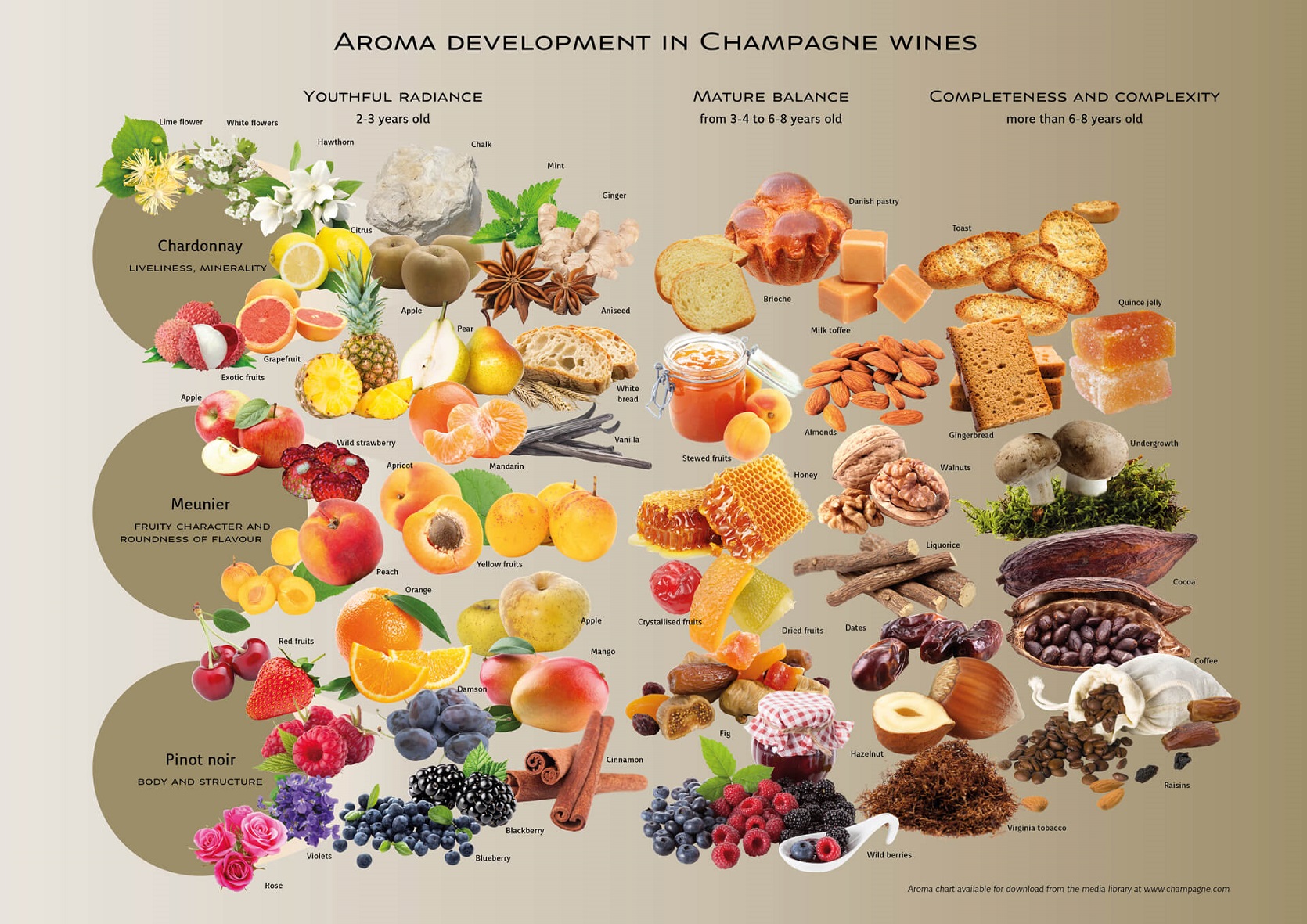 Karta vývoje aromat šumivých vín