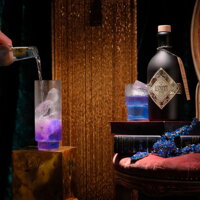 Illusionist Dry Gin 0,5 l