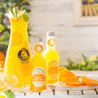 Fentimans Mandarin & Seville Orange Jigger 275 ml