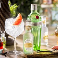 Fentimans Premium Indian Tonic Water 200 ml