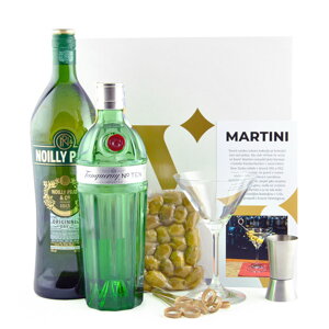 Koktejlový balíček Martini na ginu