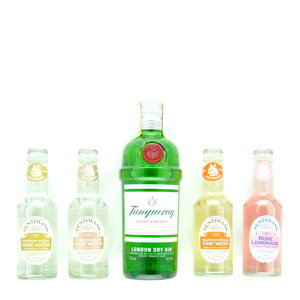 Jalovcový Tanqueray Gin & Mixer