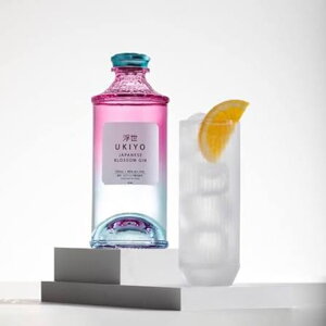 Koktejlový balíček Gin B2B