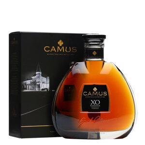 Camus XO Elegance