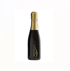 Bottega Millesimato Spumante Brut 0,2 l