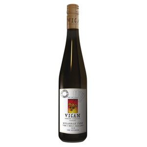 Vican Rulandské šedé 2018 výběr z bobulí